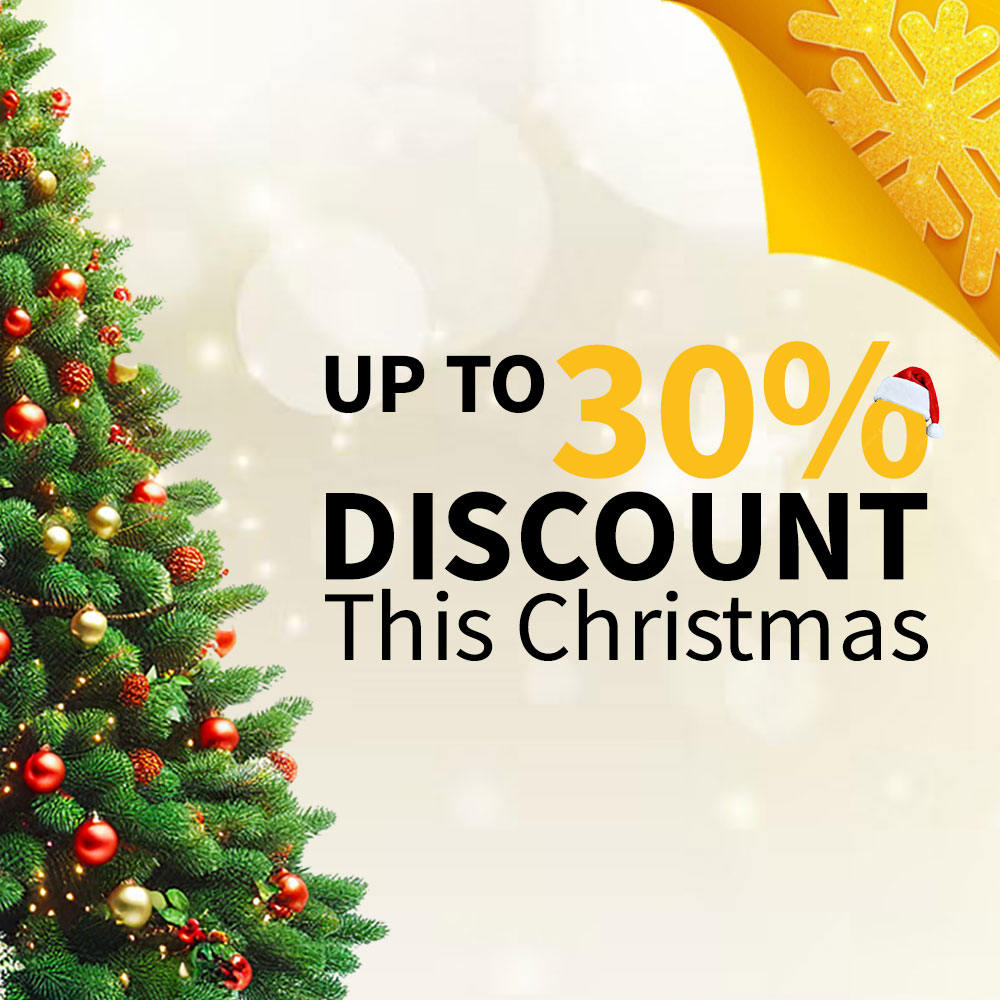 Christmas discounts