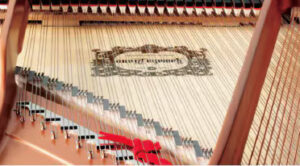 THE MUSIC WIRE