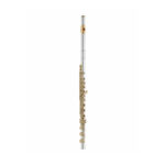 Wisemann DFL-600SSG Flute