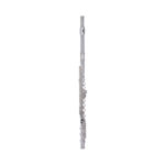 Wisemann DFL-600SSH Flute