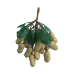 Tycoon TFS-PE Peanut Shaker
