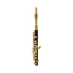 Wisemann DPL-300 C Piccolo
