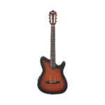 Ibanez FRH10N Nylon String Electro