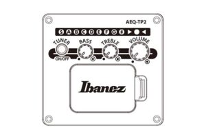 Ibanez AAD50CE Advanced Electro-Acoustic Guitar 1 preamp tp2