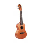 Aileen Winzz 23-Inch Acoustic Concert Ukulele