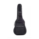 Aileen Winzz 41-Inch Padded Acoustic Guitar Bag With 5mm Padding